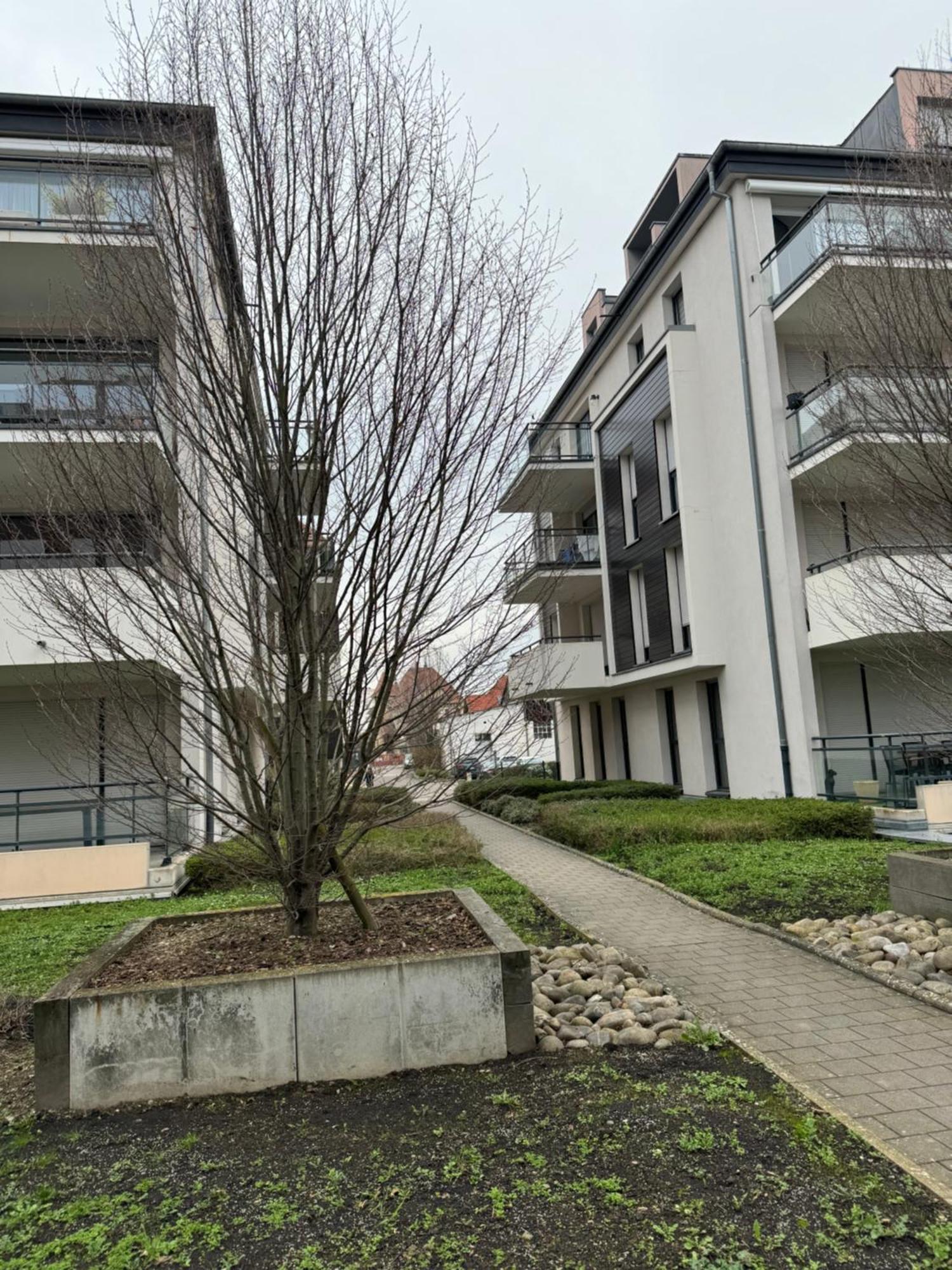 Le "Petit Colmarien" A 1Mn Du Centre 아파트 외부 사진